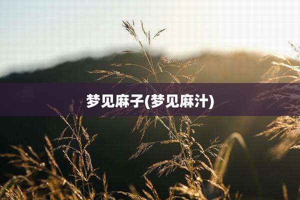 梦见麻子(梦见麻汁)