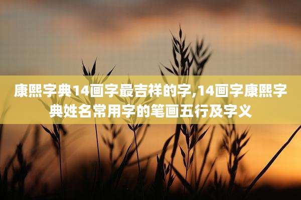 康熙字典14画字最吉祥的字,14画字康熙字典姓名常用字的笔画五行及字义