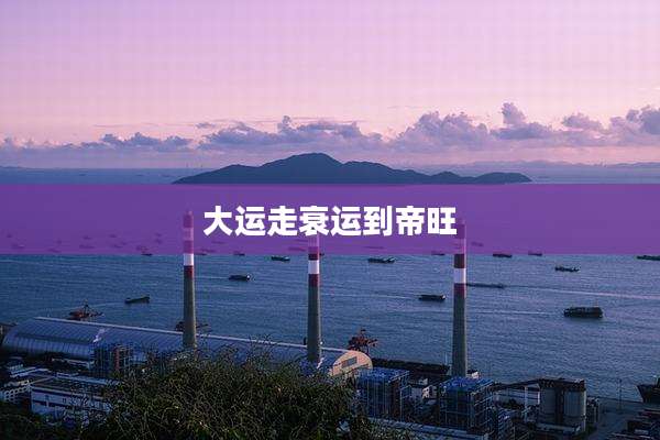 大运走衰运到帝旺