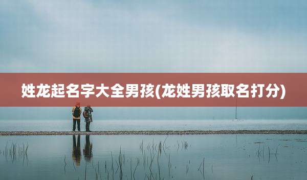 姓龙起名字大全男孩(龙姓男孩取名打分)