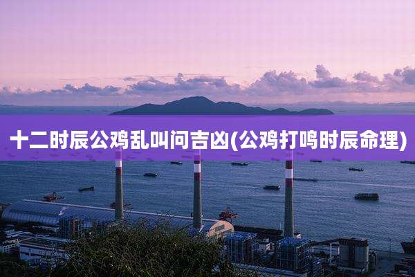 十二时辰公鸡乱叫问吉凶(公鸡打鸣时辰命理)