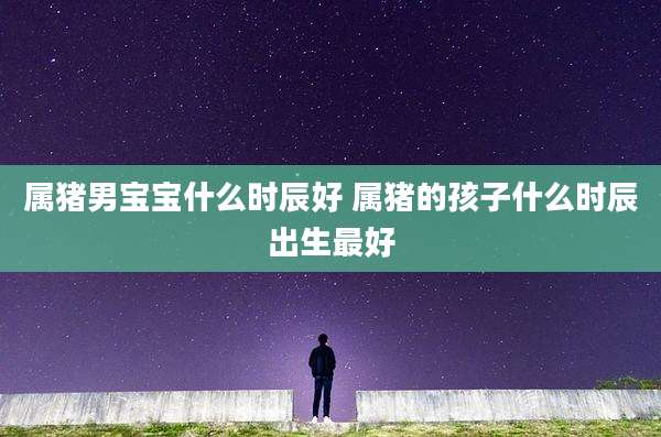 属猪男宝宝什么时辰好 属猪的孩子什么时辰出生最好