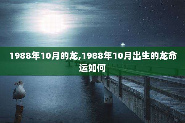 1988年10月的龙,1988年10月出生的龙命运如何