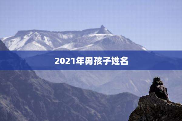 2021年男孩子姓名