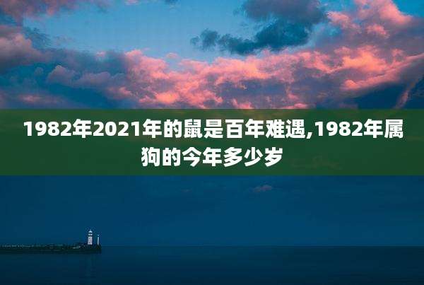 1982年2021年的鼠是百年难遇,1982年属狗的今年多少岁