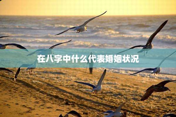 在八字中什么代表婚姻状况