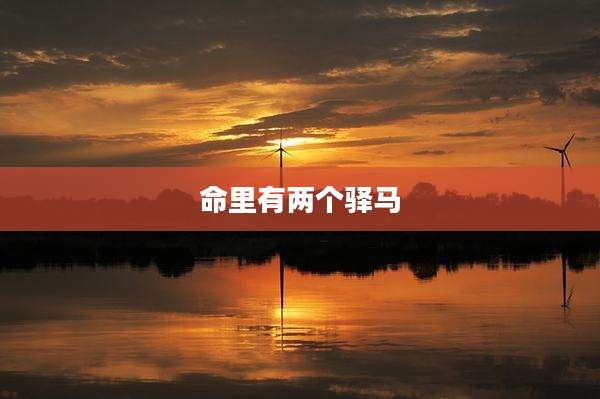 命里有两个驿马