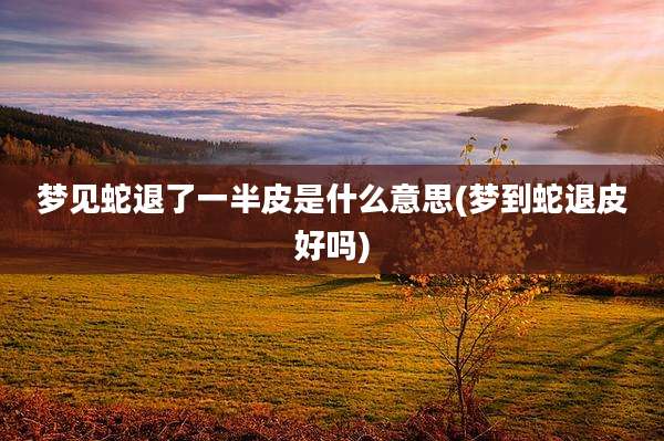梦见蛇退了一半皮是什么意思(梦到蛇退皮好吗)