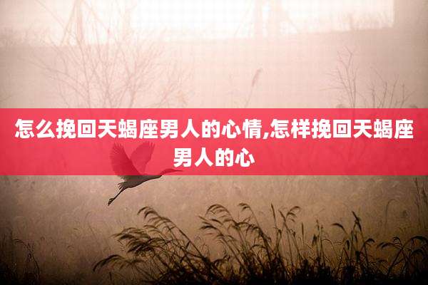 怎么挽回天蝎座男人的心情,怎样挽回天蝎座男人的心