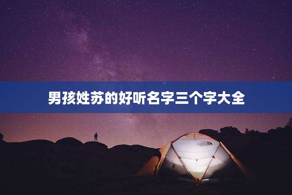 男孩姓苏的好听名字三个字大全