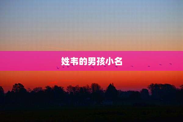姓韦的男孩小名