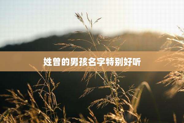 姓曾的男孩名字特别好听