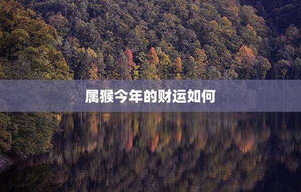 属猴今年的财运如何