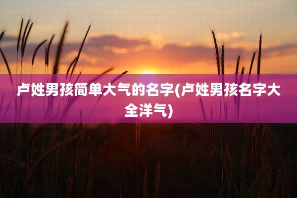 卢姓男孩简单大气的名字(卢姓男孩名字大全洋气)