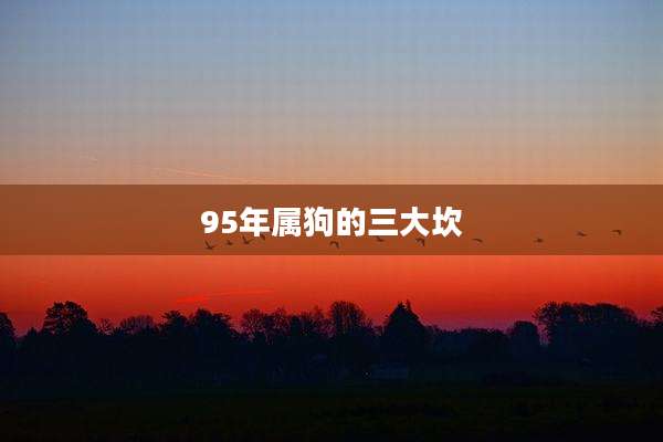 95年属狗的三大坎