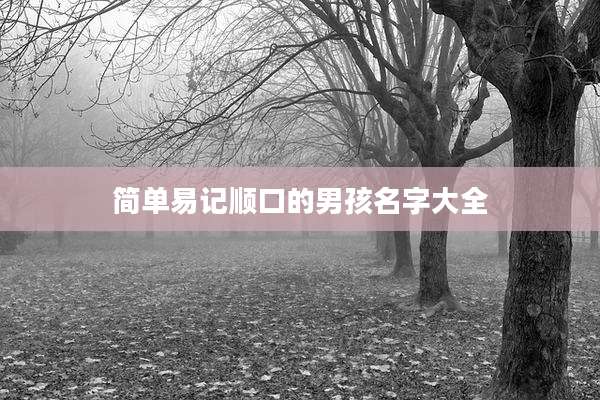 简单易记顺口的男孩名字大全