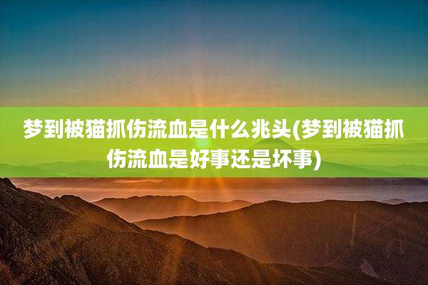 梦到被猫抓伤流血是什么兆头(梦到被猫抓伤流血是好事还是坏事)