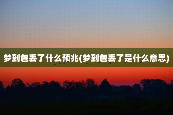 梦到包丢了什么预兆(梦到包丢了是什么意思)