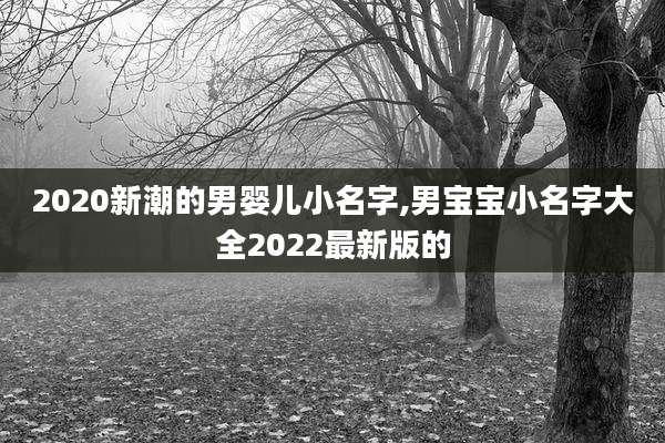 2020新潮的男婴儿小名字,男宝宝小名字大全2022最新版的