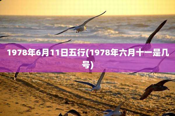 1978年6月11日五行(1978年六月十一是几号)