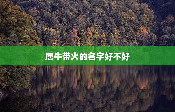 属牛带火的名字好不好