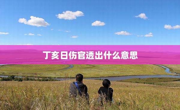 丁亥日伤官透出什么意思