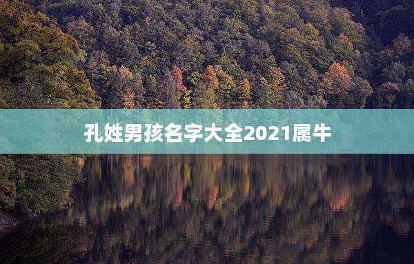 孔姓男孩名字大全2021属牛