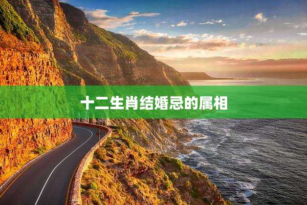 十二生肖结婚忌的属相