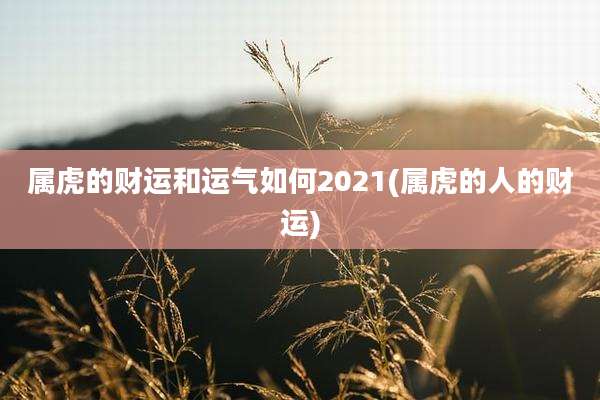 属虎的财运和运气如何2021(属虎的人的财运)