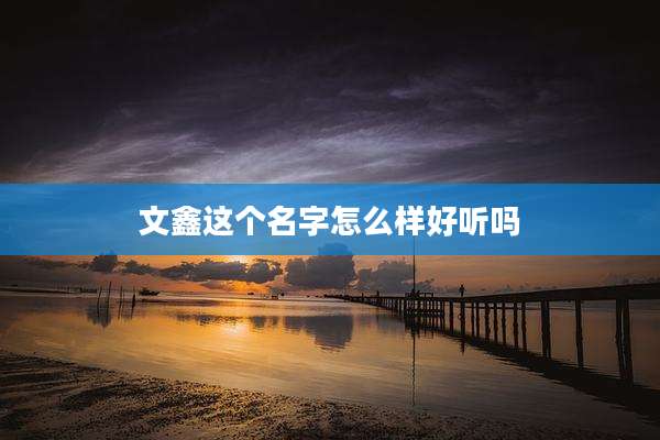 文鑫这个名字怎么样好听吗