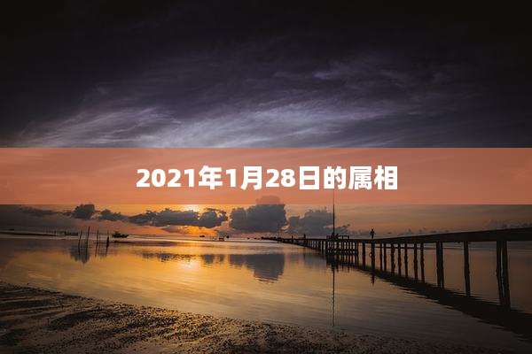 2021年1月28日的属相