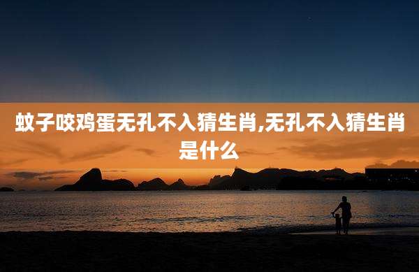 蚊子咬鸡蛋无孔不入猜生肖,无孔不入猜生肖是什么