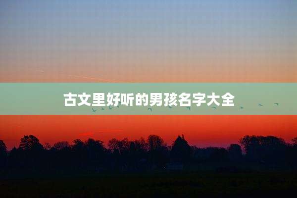 古文里好听的男孩名字大全