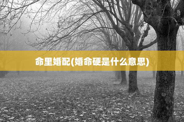 命里婚配(婚命硬是什么意思)