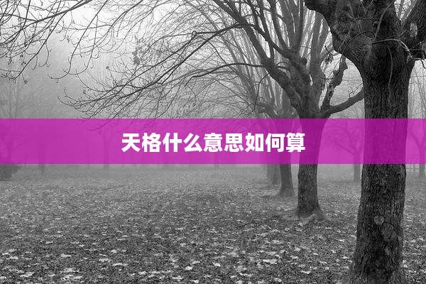 天格什么意思如何算
