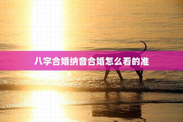 八字合婚纳音合婚怎么看的准