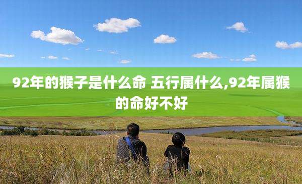 92年的猴子是什么命 五行属什么,92年属猴的命好不好