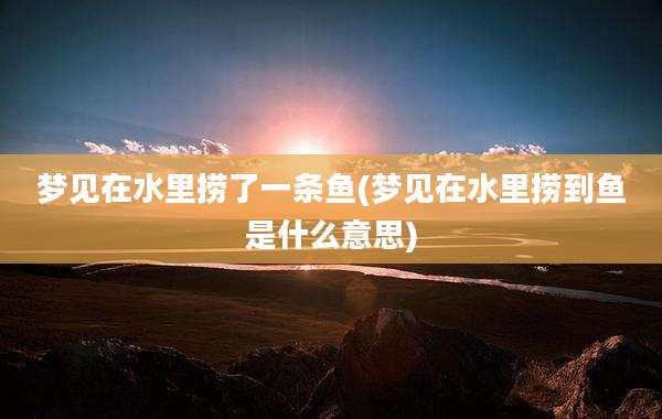 梦见在水里捞了一条鱼(梦见在水里捞到鱼是什么意思)