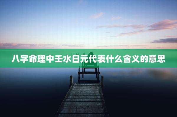 八字命理中壬水日元代表什么含义的意思
