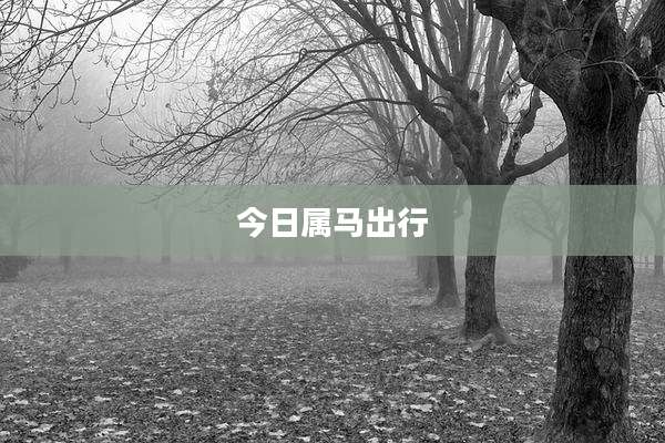 今日属马出行