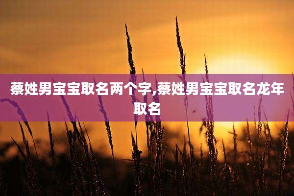 蔡姓男宝宝取名两个字,蔡姓男宝宝取名龙年取名