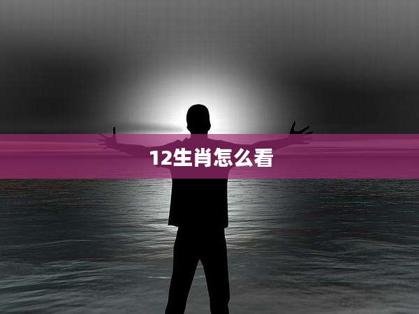 12生肖怎么看