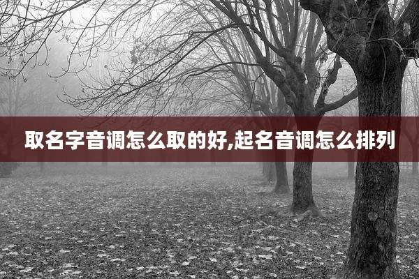 取名字音调怎么取的好,起名音调怎么排列
