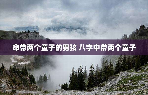 命带两个童子的男孩 八字中带两个童子