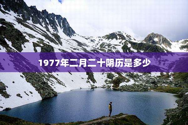1977年二月二十阴历是多少