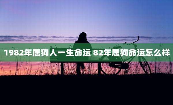 1982年属狗人一生命运 82年属狗命运怎么样