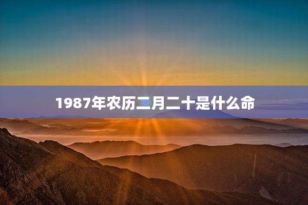1987年农历二月二十是什么命