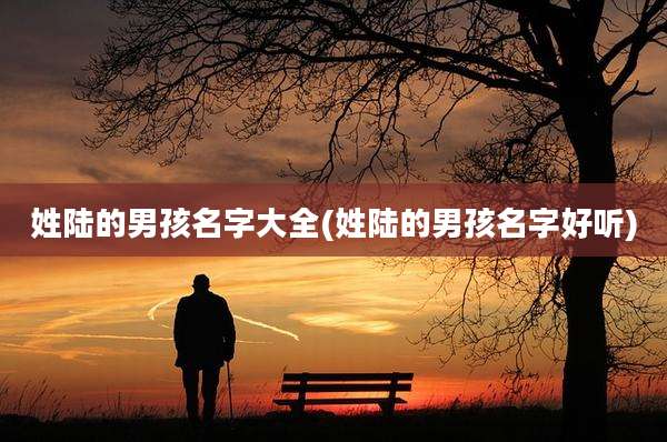 姓陆的男孩名字大全(姓陆的男孩名字好听)