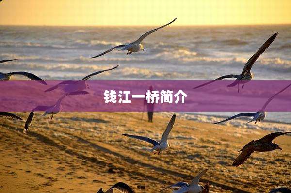 钱江一桥简介