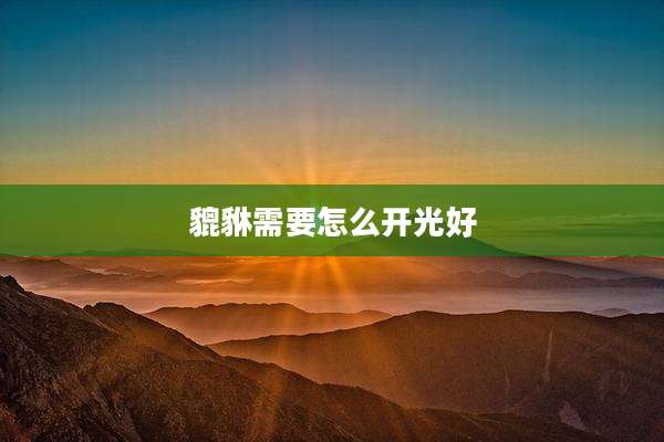 貔貅需要怎么开光好